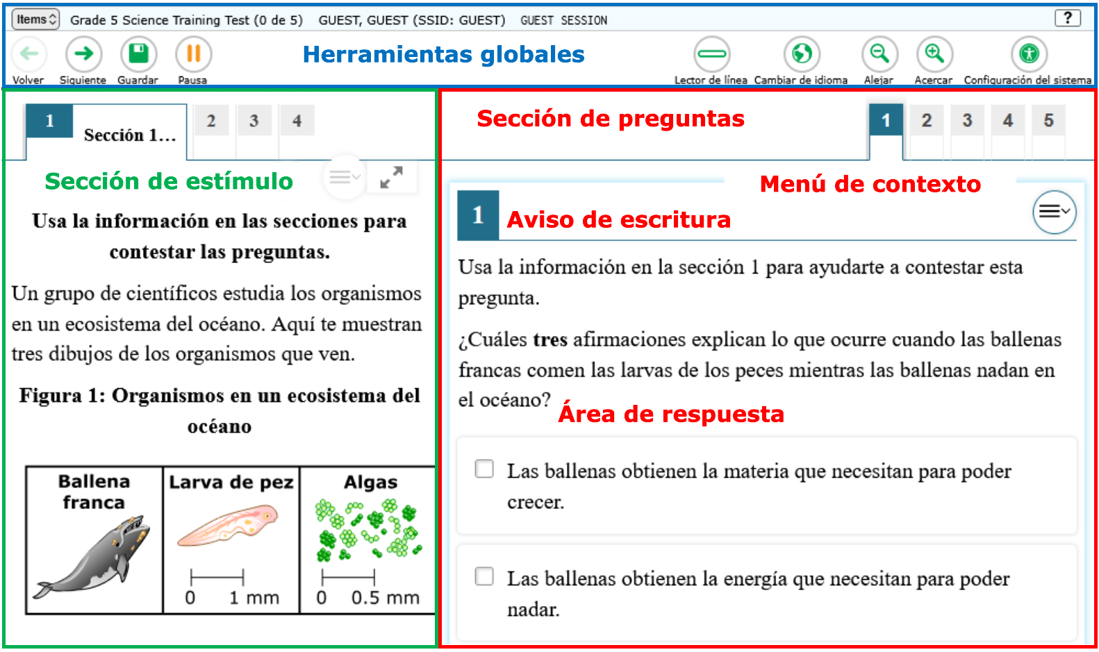Ejemplo de una página de la prueba
