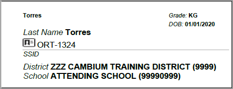Shows a test ticket for one student with the student's last name, grade, date of birth, identification number, district, and school